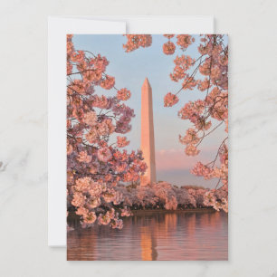 Washington Monument mit Kirschblüten Karte