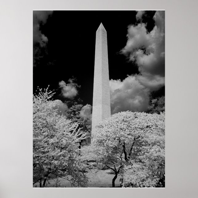 Washington Monument Poster (Vorne)