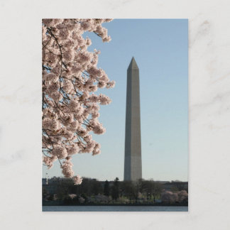 Washington Monument Postkarte