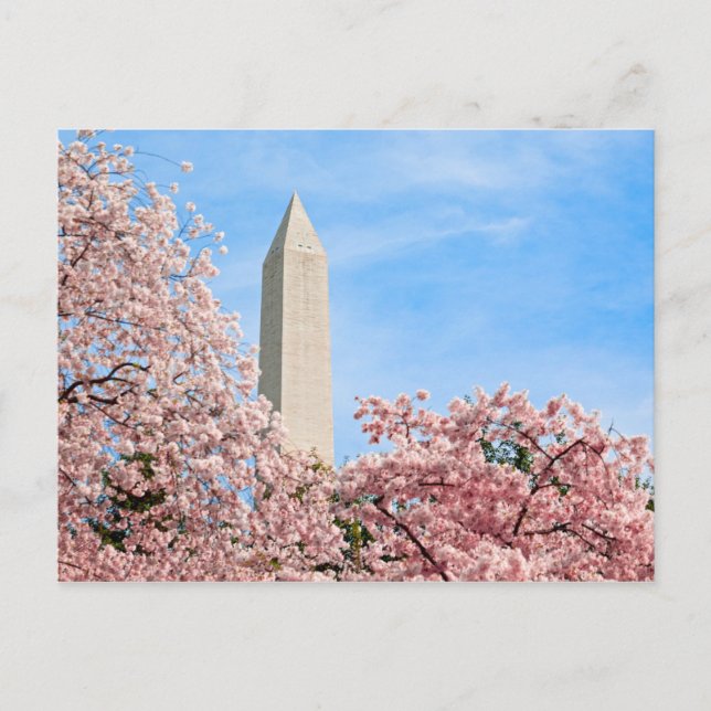 Washington Monument Postkarte (Vorderseite)