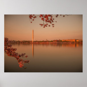 Washington Monument Sakura bei Sonnenuntergang. Poster
