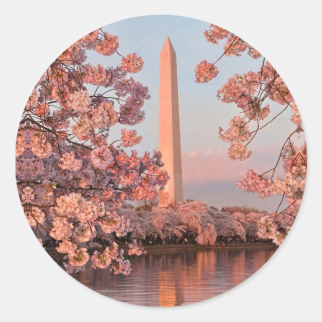 Washington Monument und Kirschblüten Aufkleber (Vorderseite)