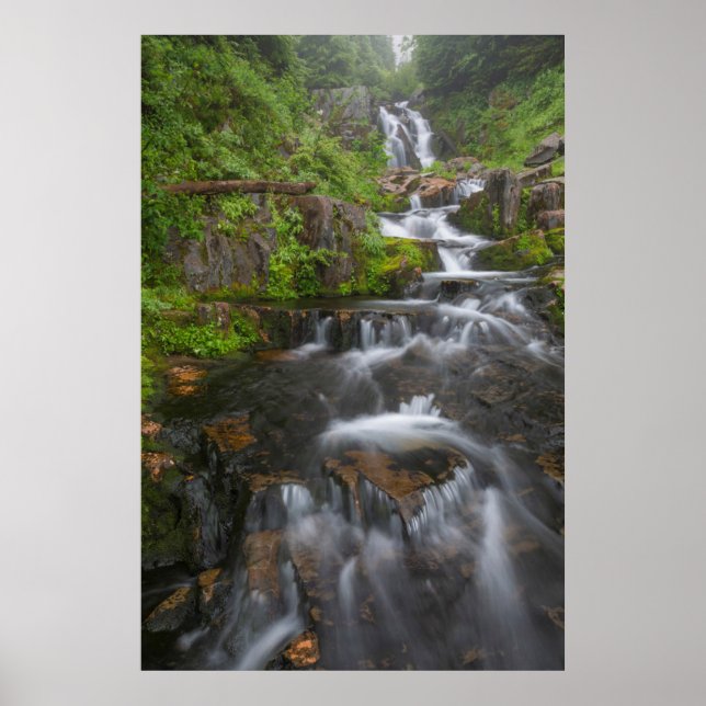 Washington, Mount Rainier Nationalpark 2 Poster (Vorne)