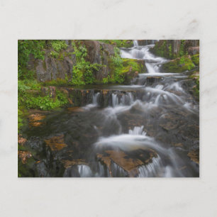 Washington, Mount Rainier Nationalpark 2 Postkarte