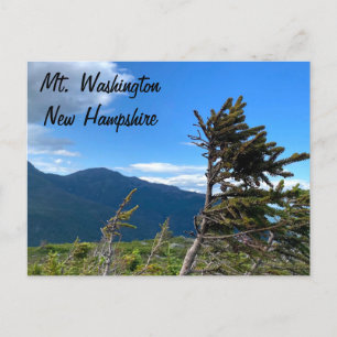 Washington, NH Postcard Postkarte