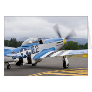 Washington, Olympia, Militärflugschau.