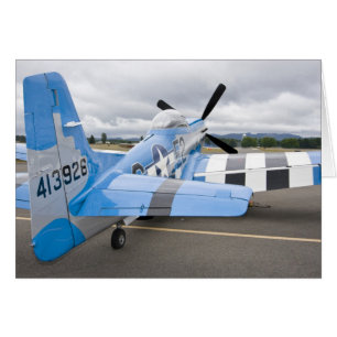 Washington, Olympia,  Militärflugschau. 3