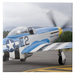 Washington, Olympia, Militärflugschau. Fliese