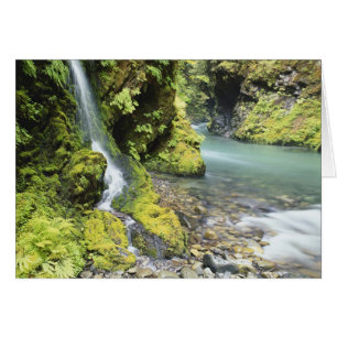 Washington, Olympic-Nationalpark, Saisonal