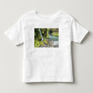 Washington, Olympic-Nationalpark, Saisonal Kleinkind T-shirt