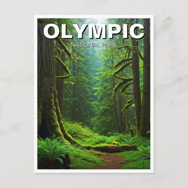 Washington olympischer Nationalpark mit Regenwald Postkarte (Vorderseite)