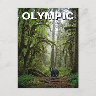 Washington olympischer Nationalpark mit Regenwald Postkarte