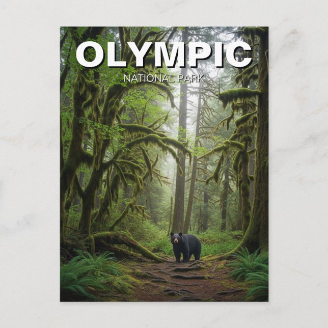 Washington olympischer Nationalpark mit Regenwald Postkarte (Vorderseite)