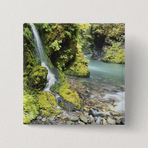 Washington, Olympischer Nationalpark, Saison Button