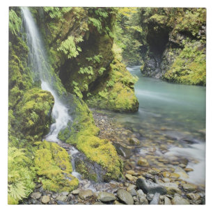 Washington, Olympischer Nationalpark, Saison Fliese