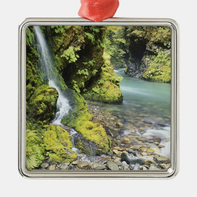 Washington, Olympischer Nationalpark, Saison Ornament Aus Metall (Vorne)