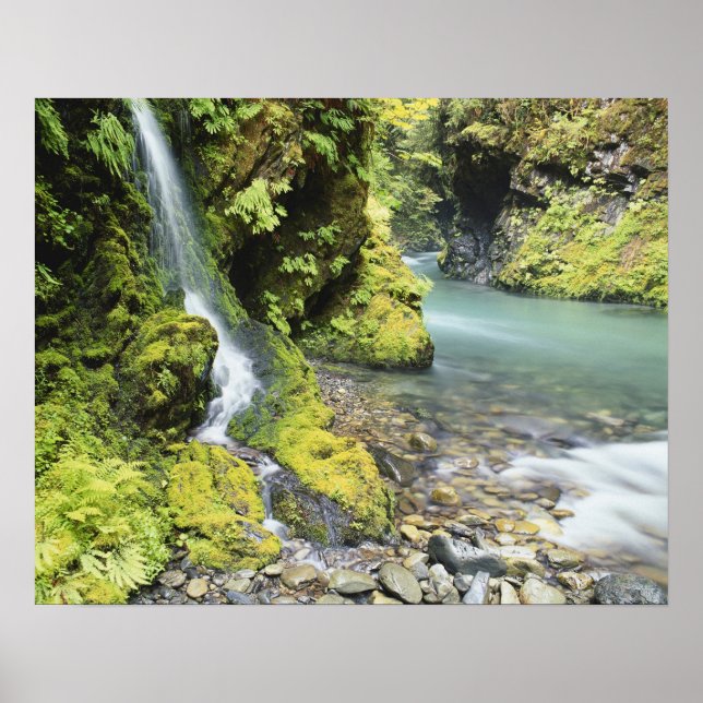 Washington, Olympischer Nationalpark, Saison Poster (Vorne)