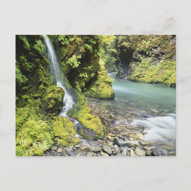 Washington, Olympischer Nationalpark, Saison Postkarte (Vorderseite)