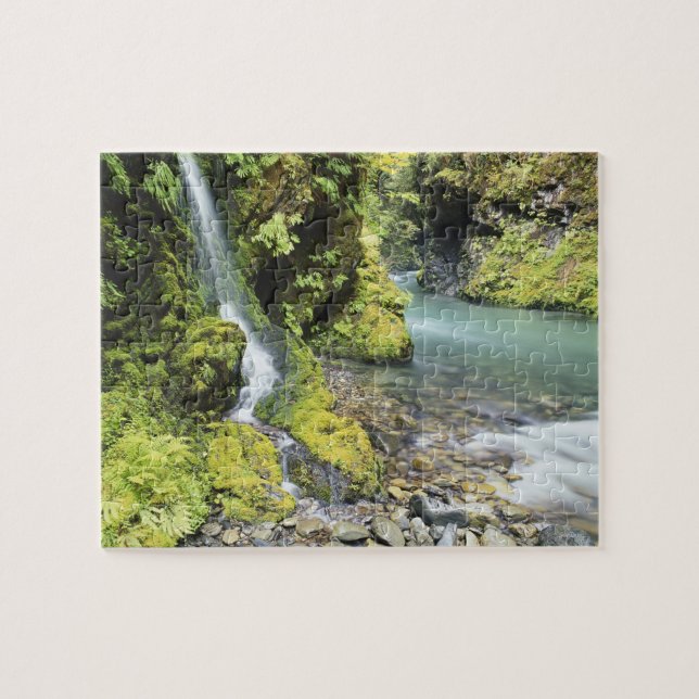 Washington, Olympischer Nationalpark, Saison Puzzle (Horizontal)