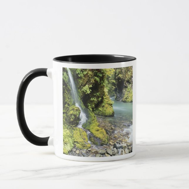 Washington, Olympischer Nationalpark, Saison Tasse (Links)