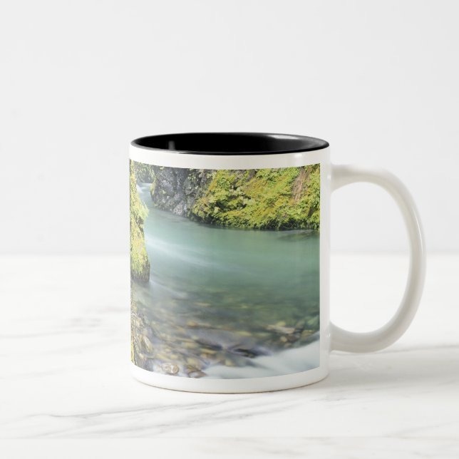 Washington, Olympischer Nationalpark, Saison Zweifarbige Tasse (Rechts)