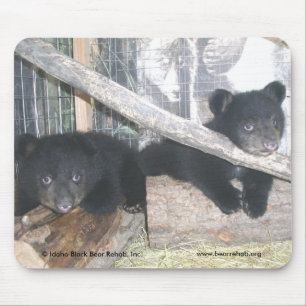 Washington paart Mousepad 2009