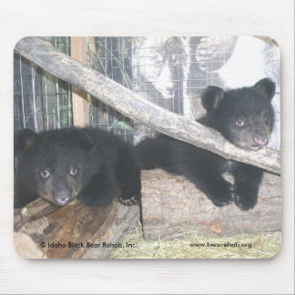 Washington paart Mousepad 2009
