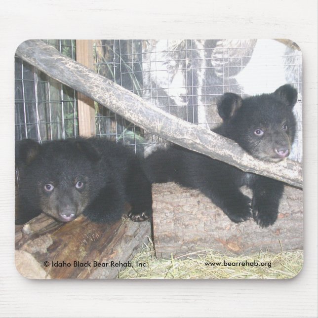 Washington paart Mousepad 2009 (Vorne)