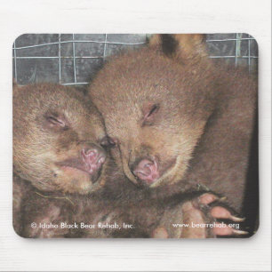 Washington paart Mousepad 2010