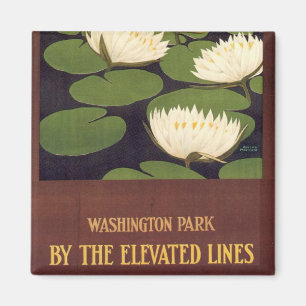 Washington Park Magnet