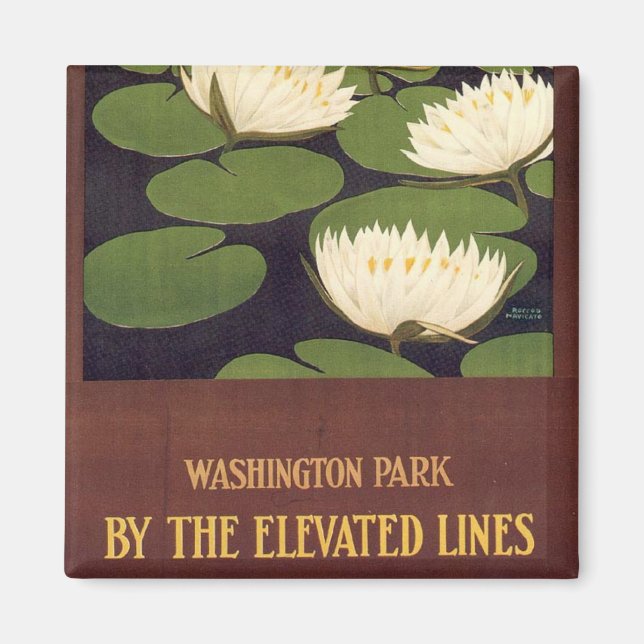 Washington Park Magnet (Vorne)