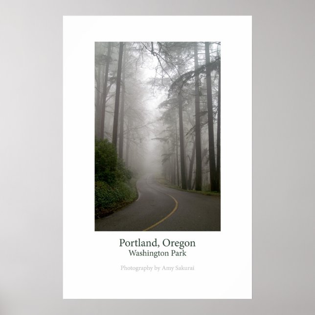 Washington Park Poster (Vorne)