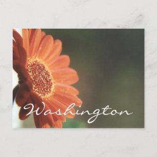 Washington Postcard Orange Blume Template Postkarte