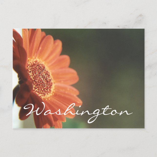 Washington Postcard Orange Blume Template Postkarte (Vorderseite)