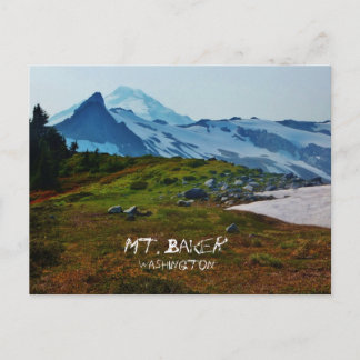 Washington Postcard Postkarte