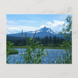 Washington Postkarte
