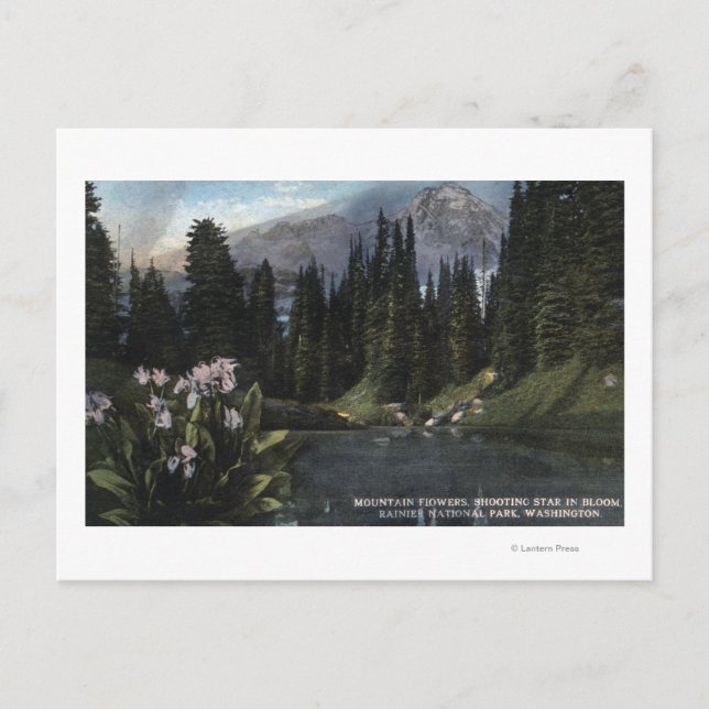 Washington - Rainier National Park, Shooting Sta Postkarte (Vorderseite)
