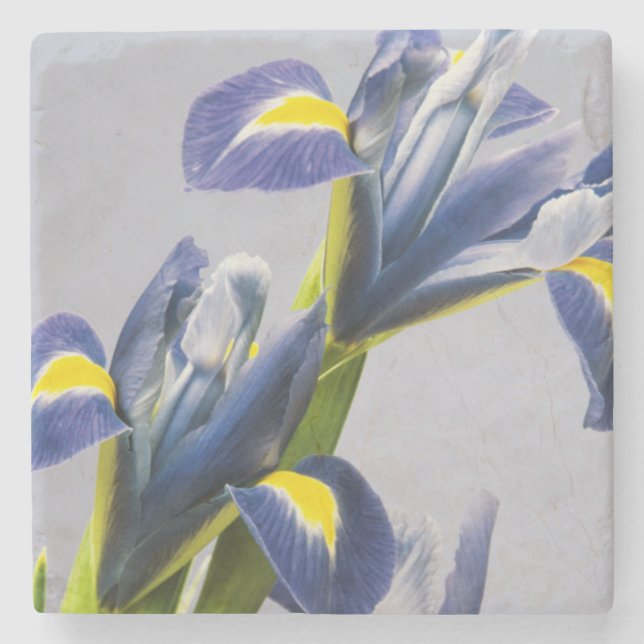 Washington, Redmond, Lila Irische Steinuntersetzer (Vorderseite)