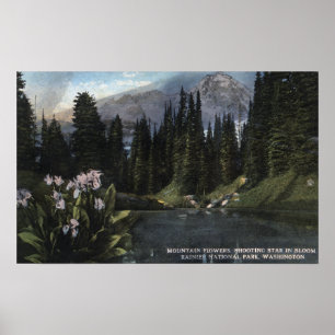 Washington - regnerischerer Nationalpark, Poster