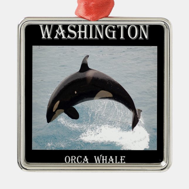 Washington-Schwertwal-Wal Silbernes Ornament (Vorne)