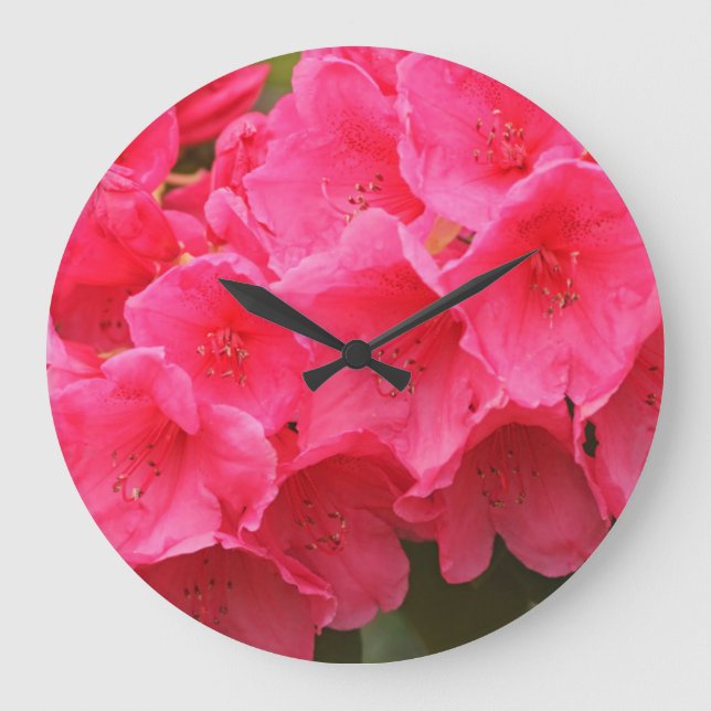 Washington, Seattle, Puget Sound, Discovery Park Große Wanduhr (Vorderseite)