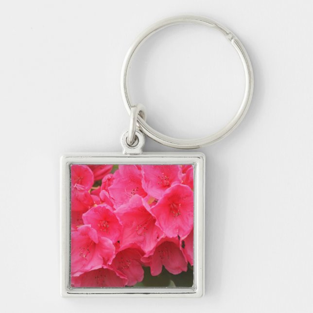 Washington, Seattle, Puget Sound, Discovery Park Schlüsselanhänger (Vorne)