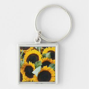 Washington, Seattle, Sonnenblume zum Verkauf Schlüsselanhänger
