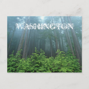 Washington Staat Post Card Postkarte