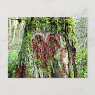 Washington Staat Postcard: Baum der Liebe Postkarte