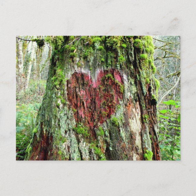Washington Staat Postcard: Baum der Liebe Postkarte (Vorderseite)