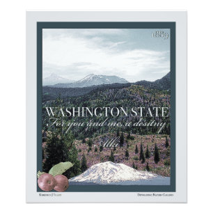 Washington Staat Poster Art