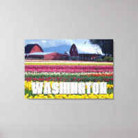 Washington Staat | Tulip Field