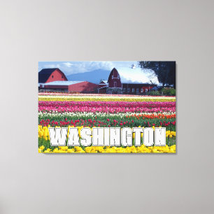 Washington State   Tulpenfeld Leinwanddruck