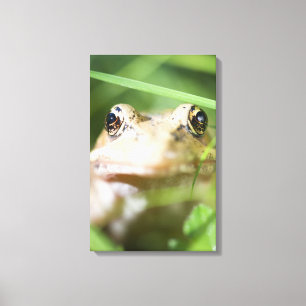 Washington, USA 2 Leinwanddruck